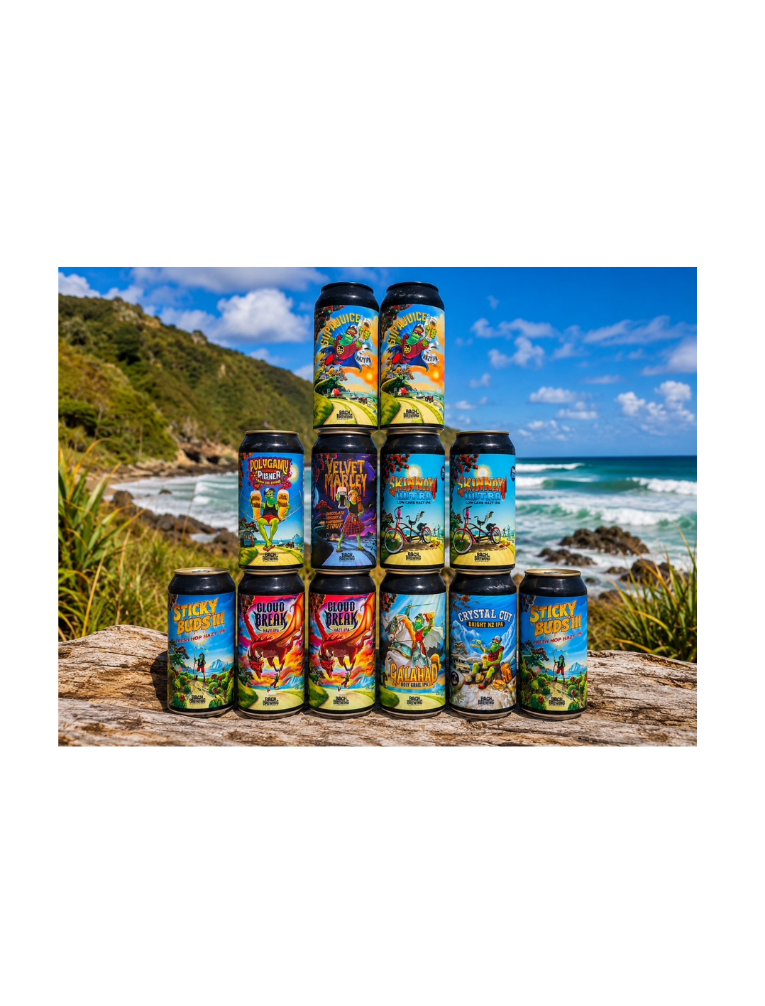 Mixed Box 12x440ml cans - Limited time only