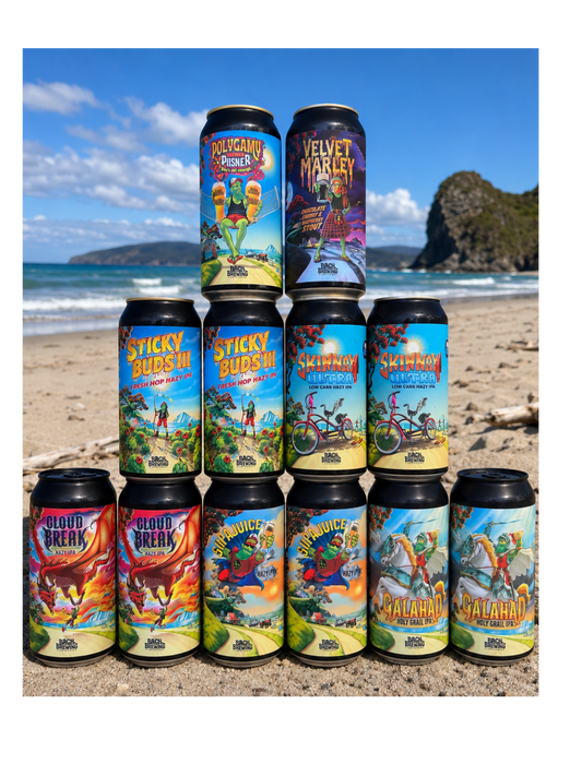 Mixed Box 12x440ml cans - Limited time only